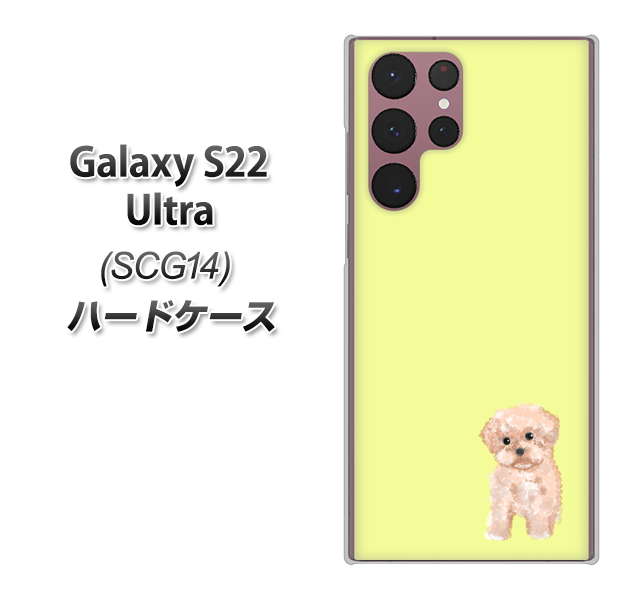 Galaxy S22 Ultra SCG14 au YJ064 トイプードルアプリコット（イエロー） ハードケース 背面印刷