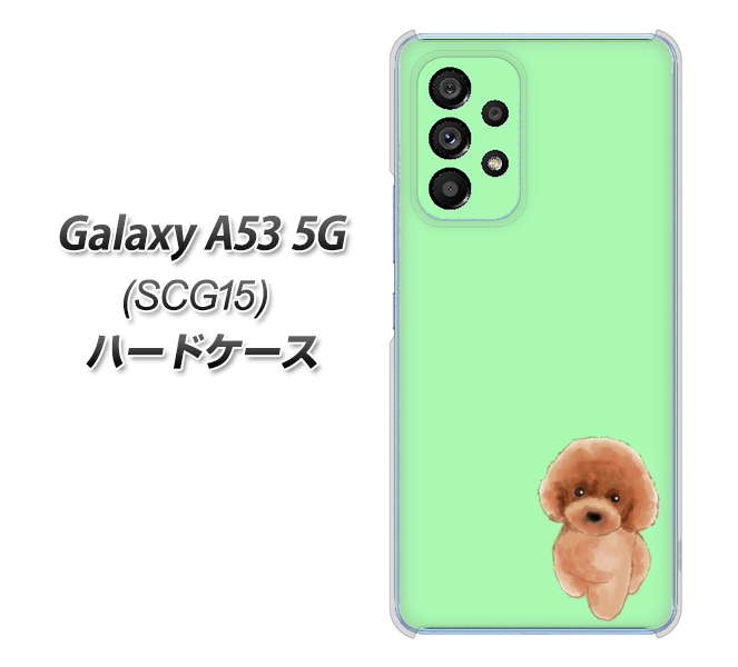 Galaxy A53 5G SCG15 au YJ052 トイプードルレッド（ グリーン） ハードケース 背面印刷
