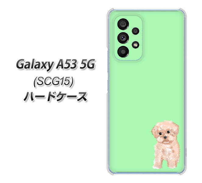 Galaxy A53 5G SCG15 au YJ063 トイプードルアプリコット（グリーン） ハードケース 背面印刷