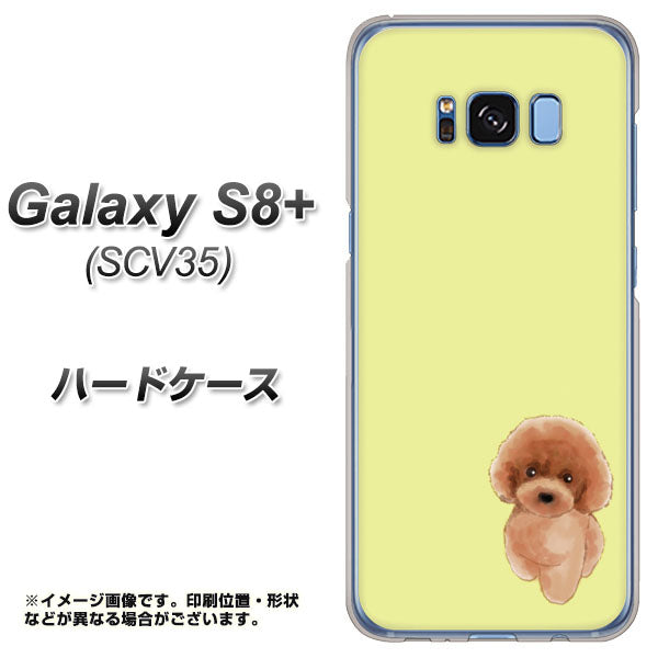 Galaxy S8+ SCV35 au YJ051 トイプードルレッド（イエロー） ハードケース 背面印刷