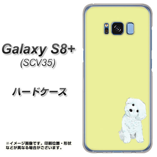 Galaxy S8+ SCV35 au YJ072 トイプードルホワイト（イエロー） ハードケース 背面印刷