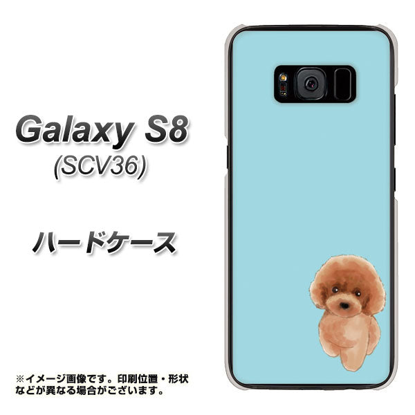 Galaxy S8 SCV36 au YJ050 トイプードルレッド（ブルー） ハードケース 背面印刷