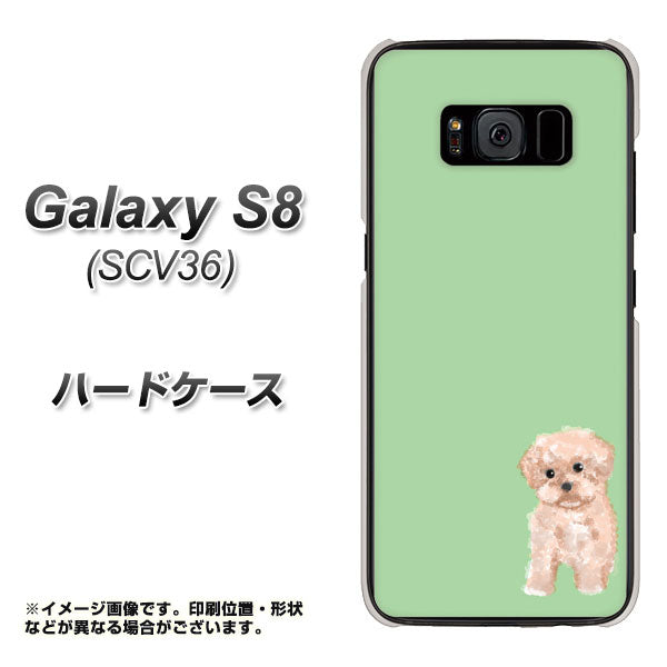 Galaxy S8 SCV36 au YJ063 トイプードルアプリコット（グリーン） ハードケース 背面印刷