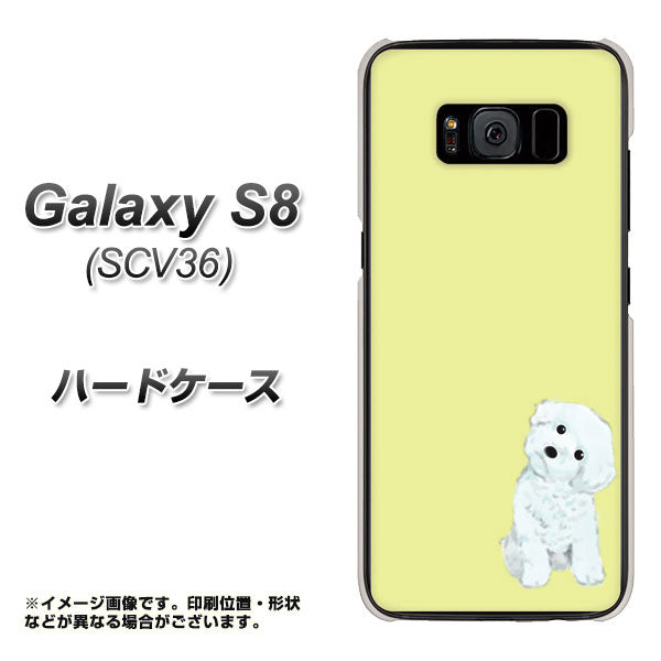 Galaxy S8 SCV36 au YJ072 トイプードルホワイト（イエロー） ハードケース 背面印刷