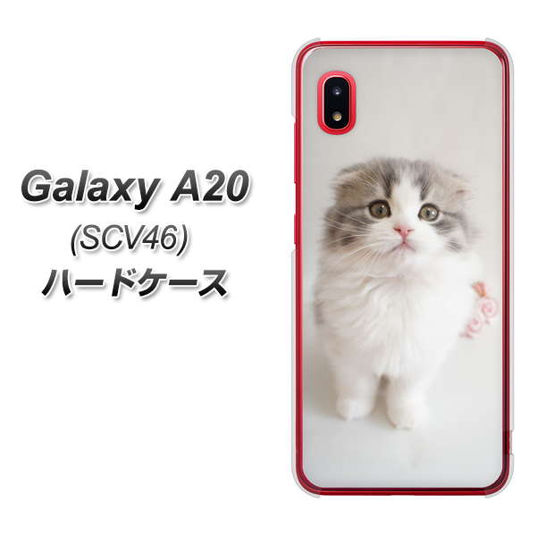 Galaxy A20 SCV46 au VA803 まっていますネコ ハードケース 背面印刷