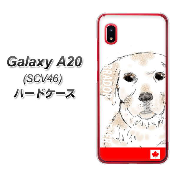 Galaxy A20 SCV46 au YD821 ラブラドールレトリバー02 ハードケース 背面印刷