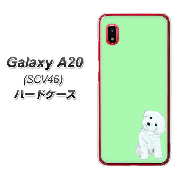 Galaxy A20 SCV46 au YJ071 トイプードルホワイト（グリーン） ハードケース 背面印刷