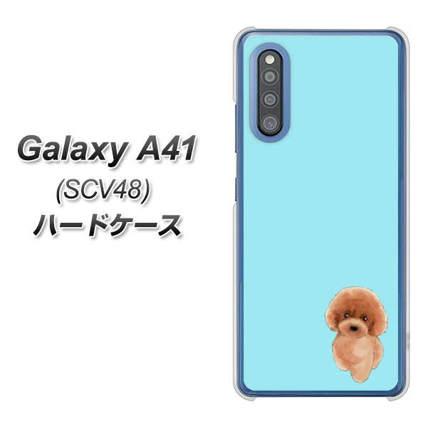 Galaxy A41 SCV48 au YJ050 トイプードルレッド（ブルー） ハードケース 背面印刷