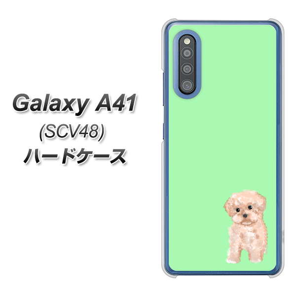 Galaxy A41 SCV48 au YJ063 トイプードルアプリコット（グリーン） ハードケース 背面印刷