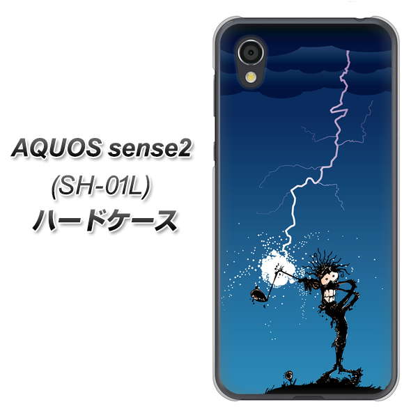 AQUOS sense2 SH-01L docomo 417 ゴルファーの苦難 ハードケース 背面印刷