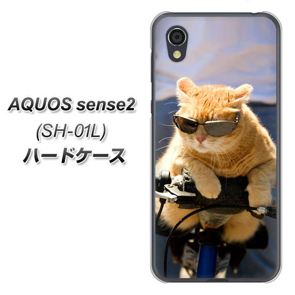 AQUOS sense2 SH-01L docomo 595 にゃんとサイクル ハードケース 背面印刷