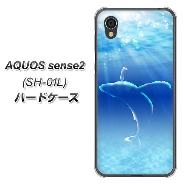 AQUOS sense2 SH-01L docomo 1047 海の守り神くじら ハードケース 背面印刷