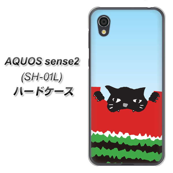 AQUOS sense2 SH-01L docomo IA815 すいかをかじるネコ(大) ハードケース 背面印刷