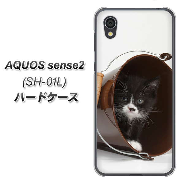 AQUOS sense2 SH-01L docomo VA800 ネコとバケツ ハードケース 背面印刷