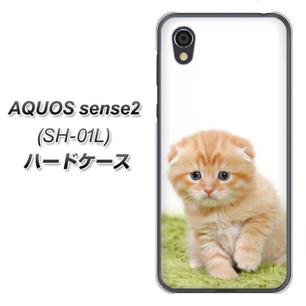 AQUOS sense2 SH-01L docomo VA802 ネコこっそり ハードケース 背面印刷