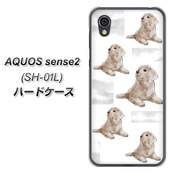 AQUOS sense2 SH-01L docomo YD823 ラブラドールレトリバー04 ハードケース 背面印刷