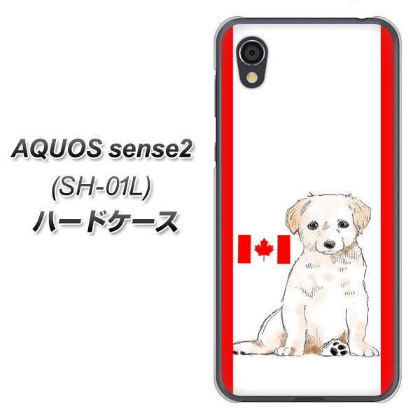 AQUOS sense2 SH-01L docomo YD824 ラブラドールレトリバー05 ハードケース 背面印刷