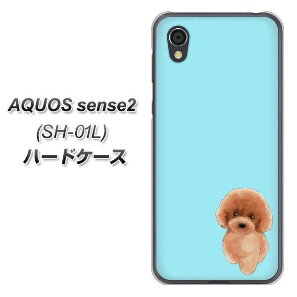 AQUOS sense2 SH-01L docomo YJ050 トイプードルレッド（ブルー） ハードケース 背面印刷