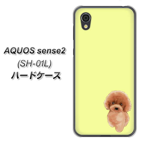 AQUOS sense2 SH-01L docomo YJ051 トイプードルレッド（イエロー） ハードケース 背面印刷