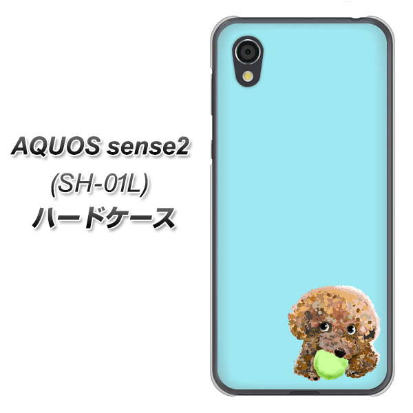 AQUOS sense2 SH-01L docomo YJ054 トイプードル＆ボール（ブルー） ハードケース 背面印刷