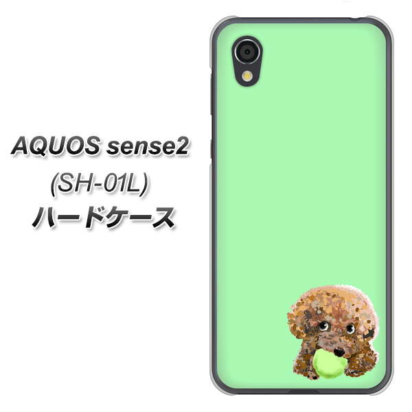 AQUOS sense2 SH-01L docomo YJ055 トイプードル＆ボール（グリーン） ハードケース 背面印刷