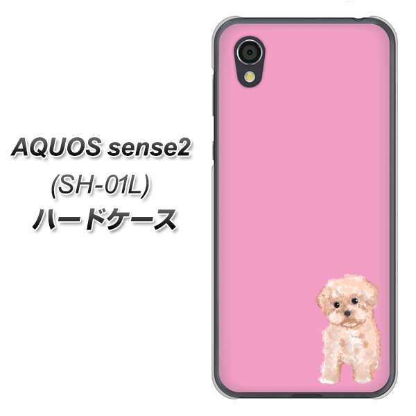 AQUOS sense2 SH-01L docomo YJ061 トイプードルアプリコット（ピンク） ハードケース 背面印刷