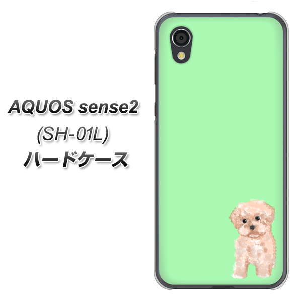 AQUOS sense2 SH-01L docomo YJ063 トイプードルアプリコット（グリーン） ハードケース 背面印刷