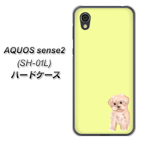 AQUOS sense2 SH-01L docomo YJ064 トイプードルアプリコット（イエロー） ハードケース 背面印刷