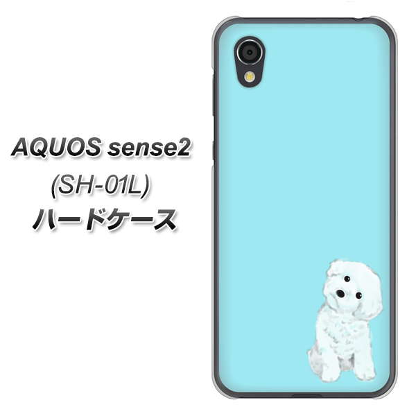 AQUOS sense2 SH-01L docomo YJ070 トイプードルホワイト（ブルー） ハードケース 背面印刷