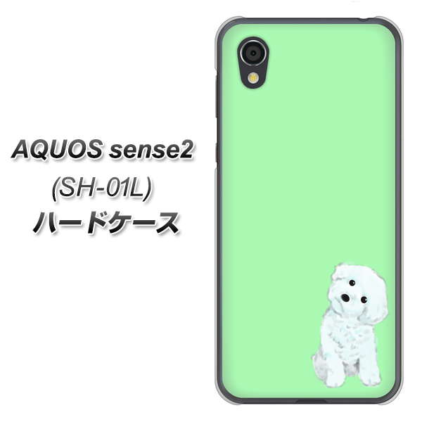 AQUOS sense2 SH-01L docomo YJ071 トイプードルホワイト（グリーン） ハードケース 背面印刷