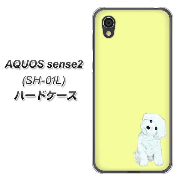 AQUOS sense2 SH-01L docomo YJ072 トイプードルホワイト（イエロー） ハードケース 背面印刷