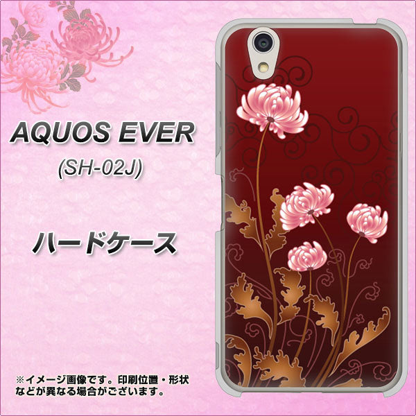 AQUOS EVER SH-02J docomo 375 優美な菊 ハードケース 背面印刷