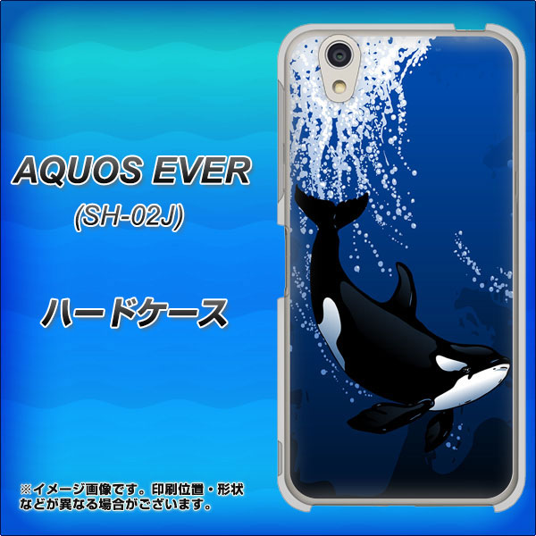 AQUOS EVER SH-02J docomo 423 シャチ ハードケース 背面印刷