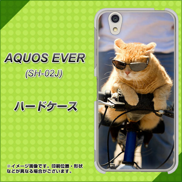 AQUOS EVER SH-02J docomo 595 にゃんとサイクル ハードケース 背面印刷