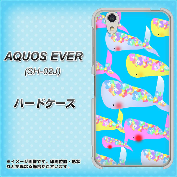 AQUOS EVER SH-02J docomo 1045 くじらの仲間 ハードケース 背面印刷