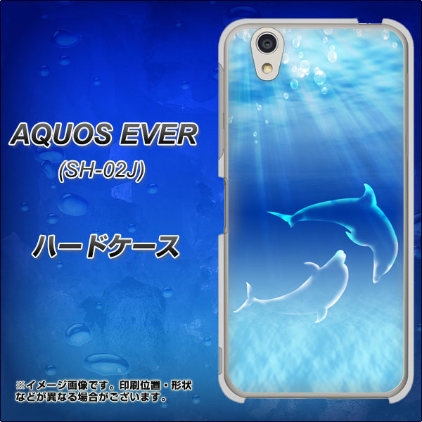 AQUOS EVER SH-02J docomo 1048 海の守り神イルカ ハードケース 背面印刷