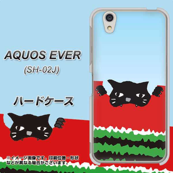 AQUOS EVER SH-02J docomo IA815 すいかをかじるネコ(大) ハードケース 背面印刷