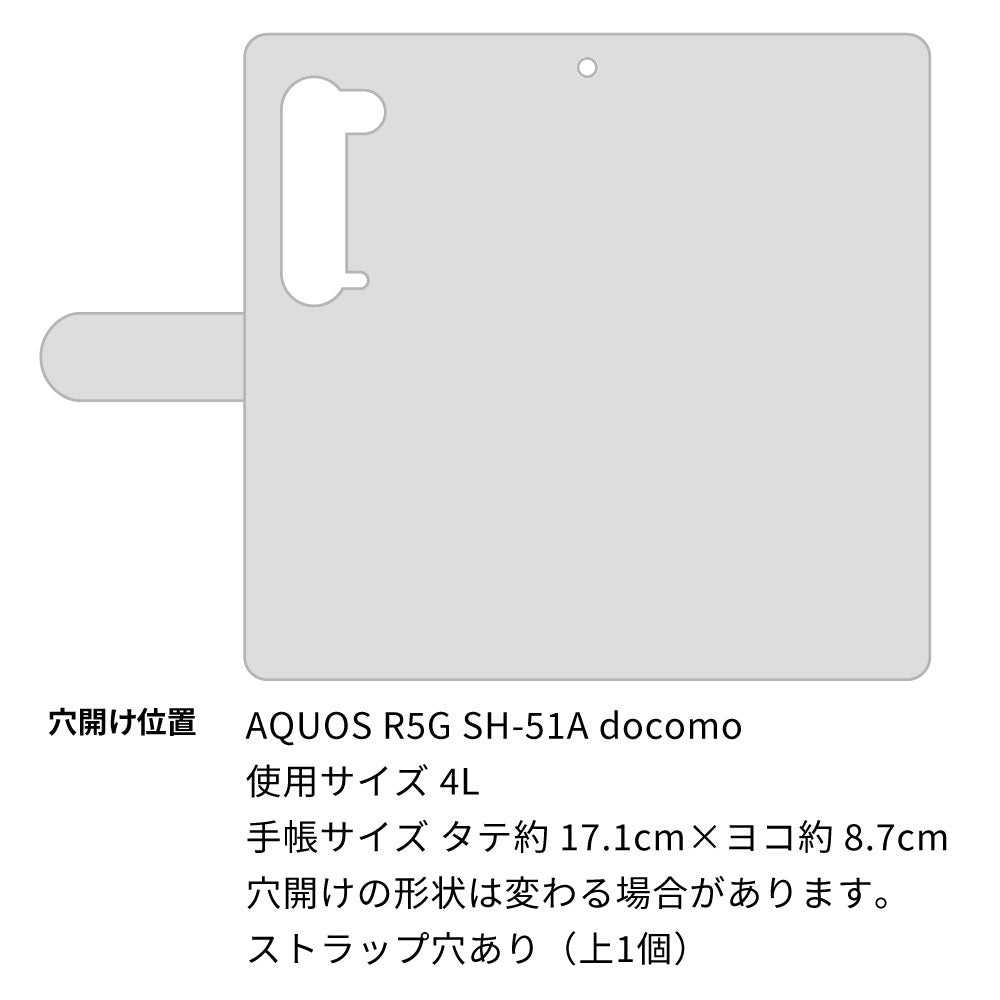 AQUOS R5G SH-51A docomo 高画質仕上げ プリント手帳型ケース(通常型)【YG938 tora】