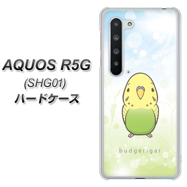 AQUOS R5G SHG01 au SC838 セキセイインコ グリーン ハードケース 背面印刷