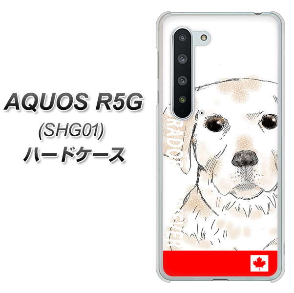 AQUOS R5G SHG01 au YD821 ラブラドールレトリバー02 ハードケース 背面印刷