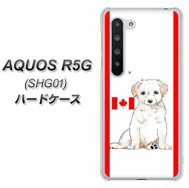 AQUOS R5G SHG01 au YD824 ラブラドールレトリバー05 ハードケース 背面印刷