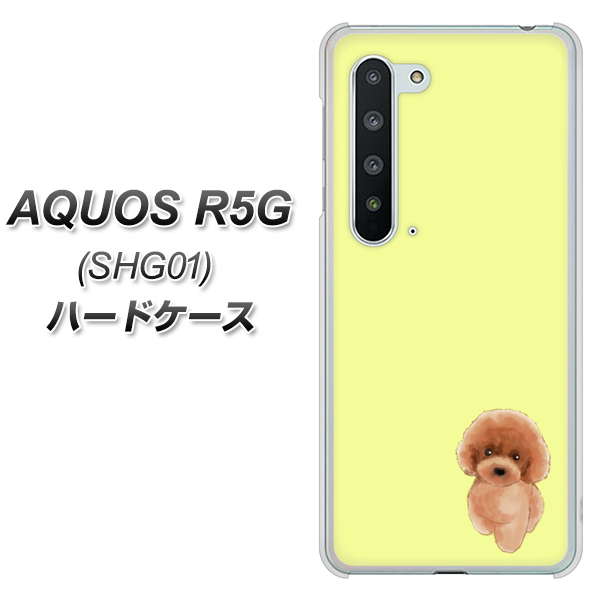 AQUOS R5G SHG01 au YJ051 トイプードルレッド（イエロー） ハードケース 背面印刷