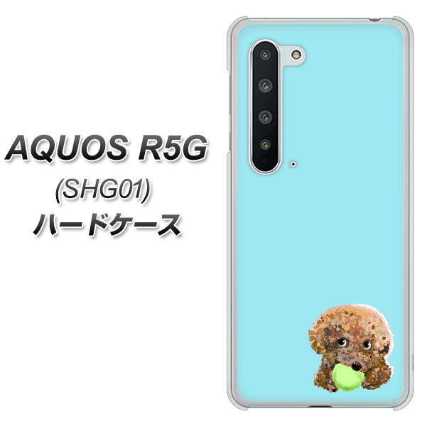 AQUOS R5G SHG01 au YJ054 トイプードル＆ボール（ブルー） ハードケース 背面印刷