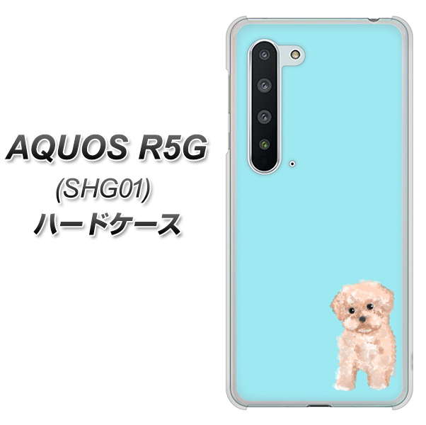 AQUOS R5G SHG01 au YJ062 トイプードルアプリコット（ブルー） ハードケース 背面印刷