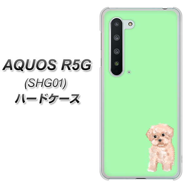 AQUOS R5G SHG01 au YJ063 トイプードルアプリコット（グリーン） ハードケース 背面印刷