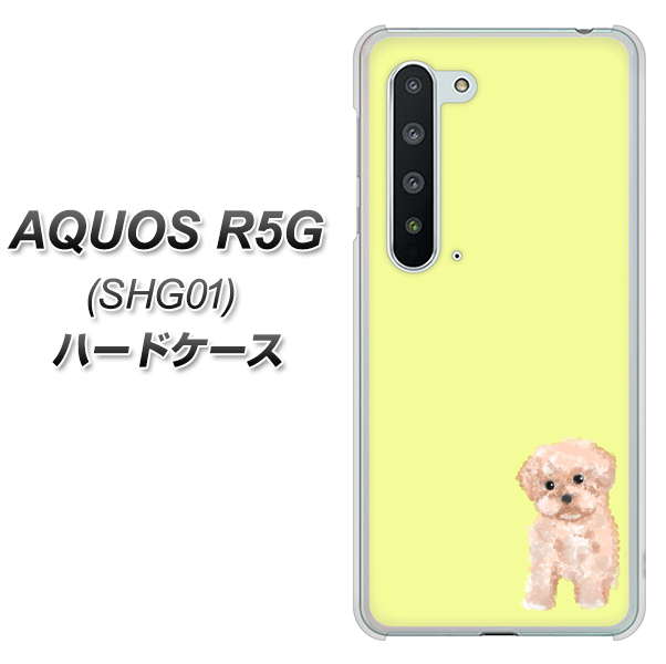 AQUOS R5G SHG01 au YJ064 トイプードルアプリコット（イエロー） ハードケース 背面印刷