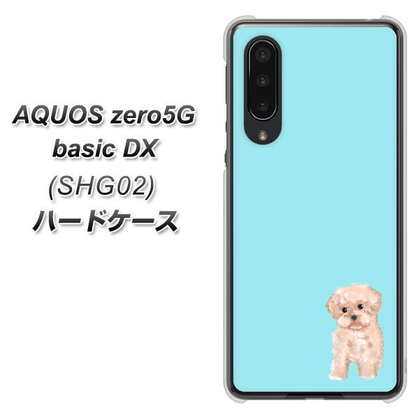 AQUOS zero5G basic DX SHG02 au YJ062 トイプードルアプリコット（ブルー） ハードケース 背面印刷