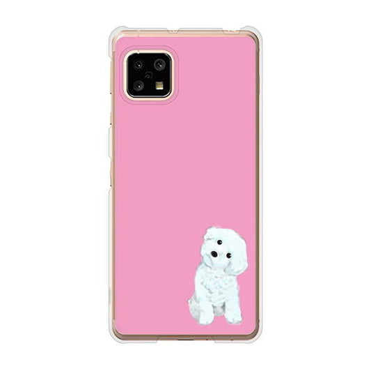 AQUOS sense5G SHG03 au トイプードルホワイト ハードケース 背面印刷
