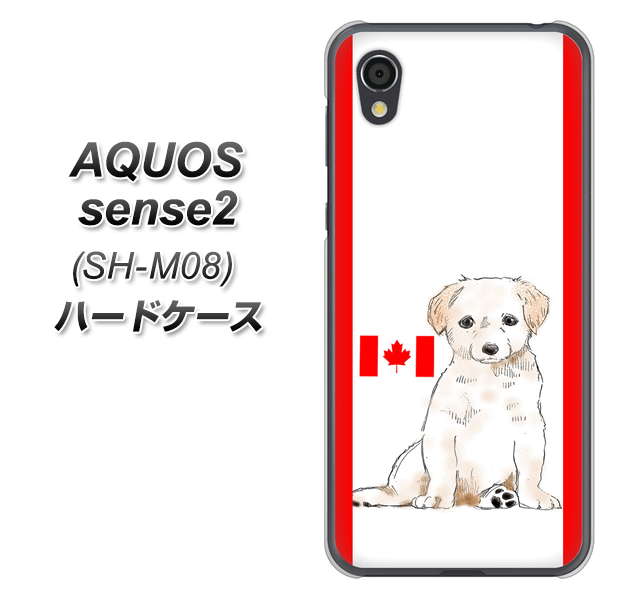 AQUOS sense2 SH-M08 YD824 ラブラドールレトリバー05 ハードケース 背面印刷