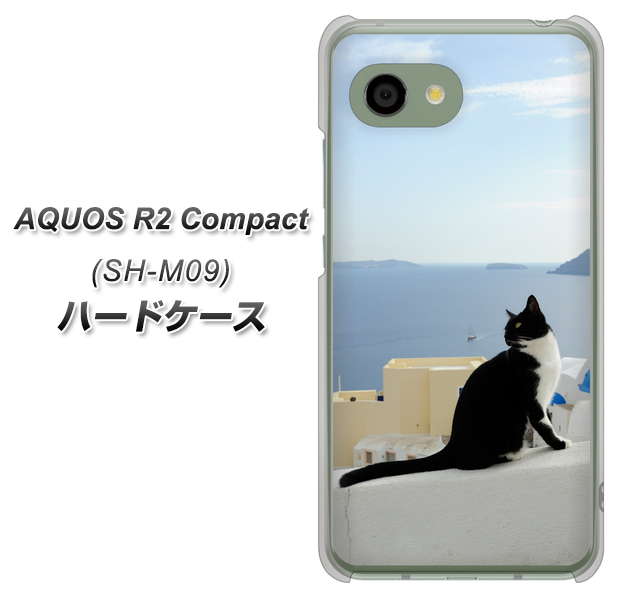 AQUOS R2 compact SH-M09 VA805 ネコと地中海 ハードケース 背面印刷